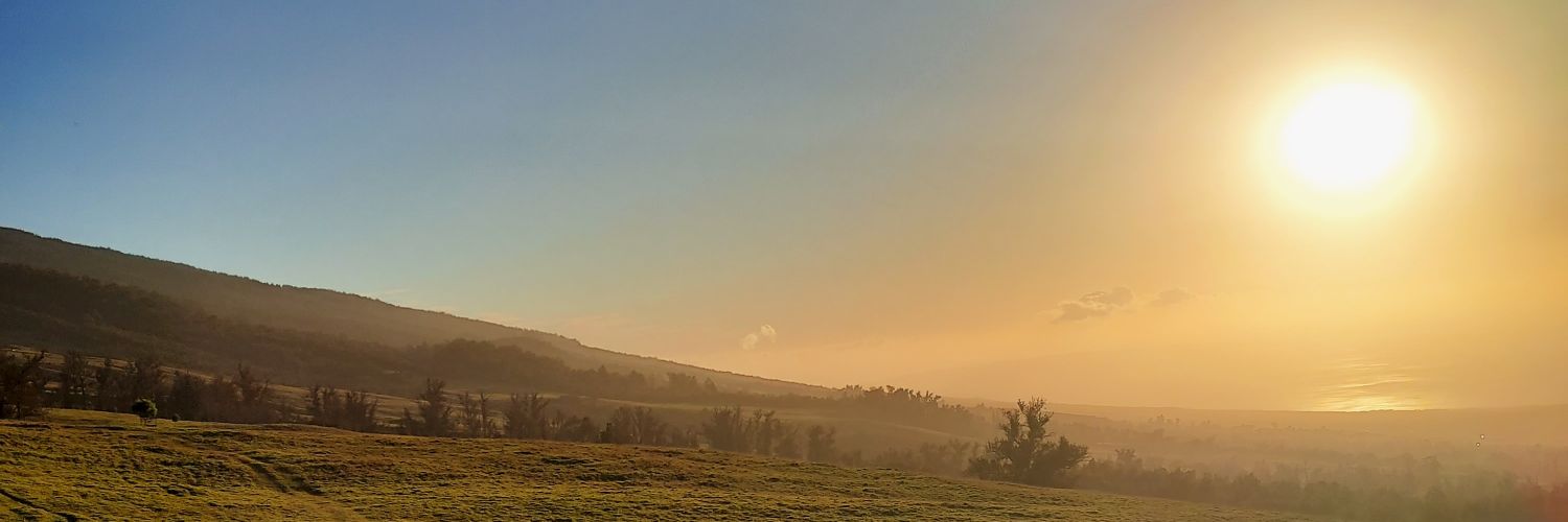 Dieherro808's profile banner image