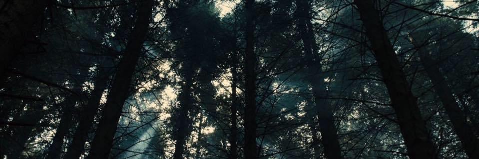 Libardo Isaza banner