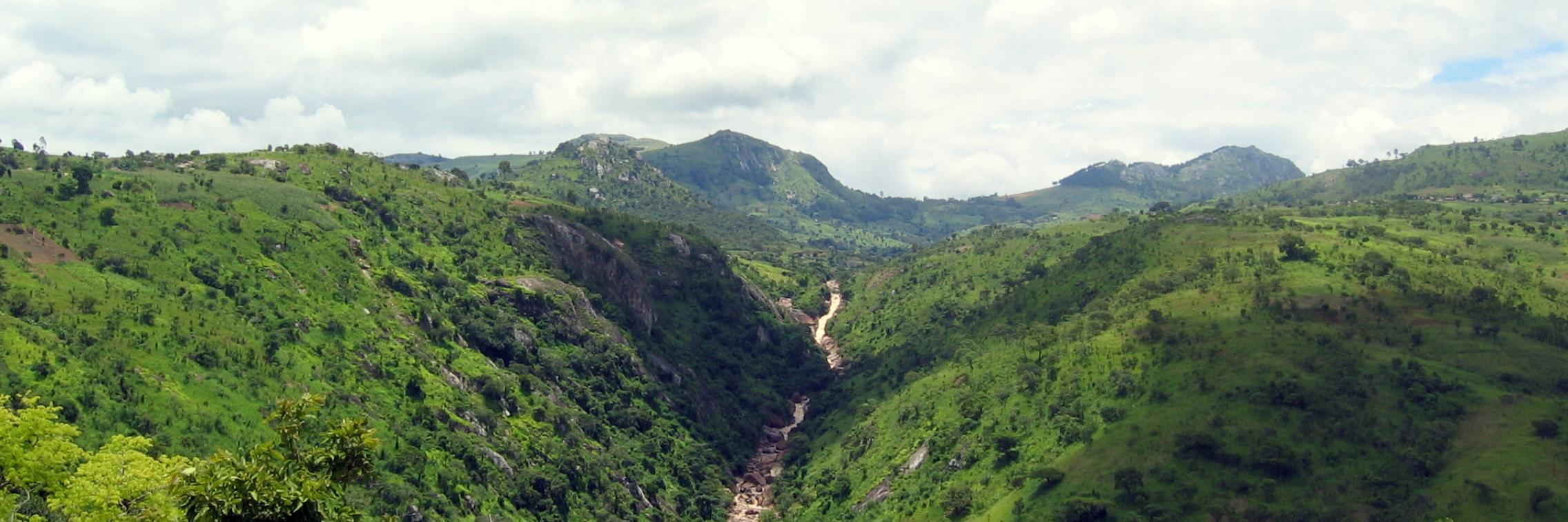 AnnaSofie Stensgaard banner