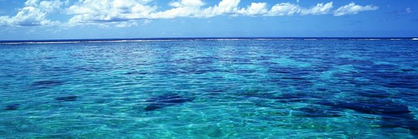 BanSingleUse Profile Banner