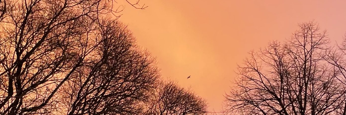 Ieva Matisone banner