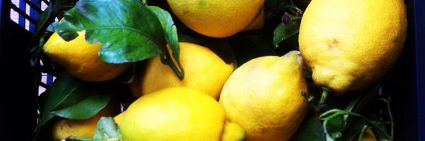 blascafe Profile Banner