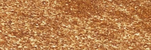 kbrooks_0's profile banner image