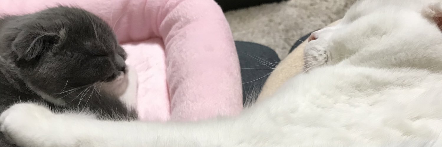 Moe19971129's profile banner image