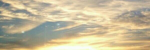 Ariadna_S91's profile banner image