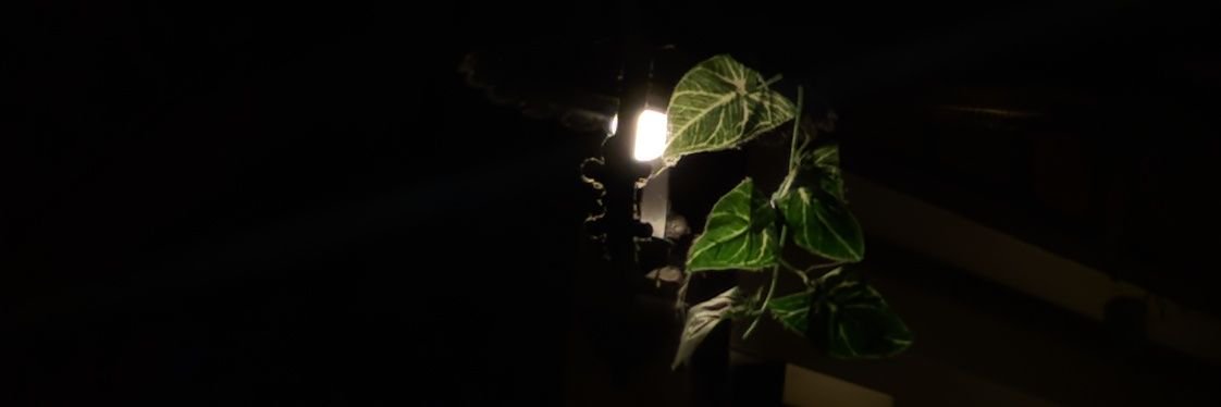 amirneo's profile banner image
