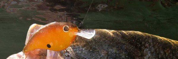 BerkleyFishing Profile Banner