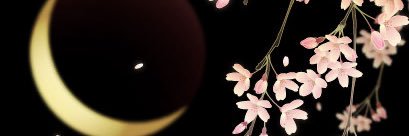 まい🐈‍⬛🫧 banner