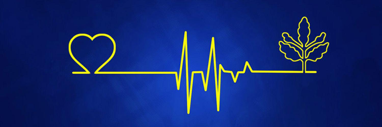 mstykilic's profile banner image