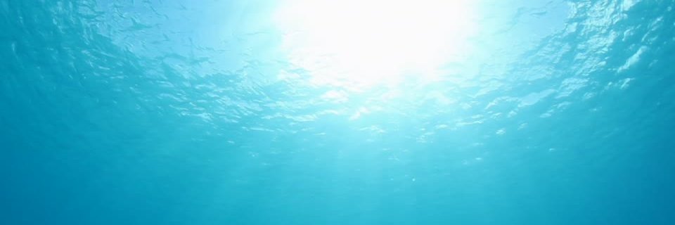 alanguzman333's profile banner image