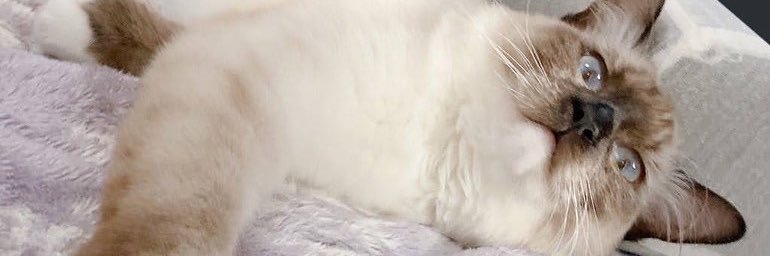 hinanonano_'s profile banner image