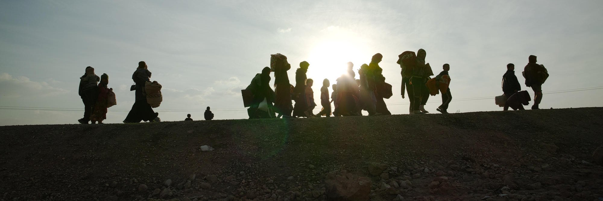 MSF PICTURE DESK banner