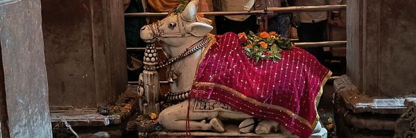 MaheshYadav03 Profile Banner