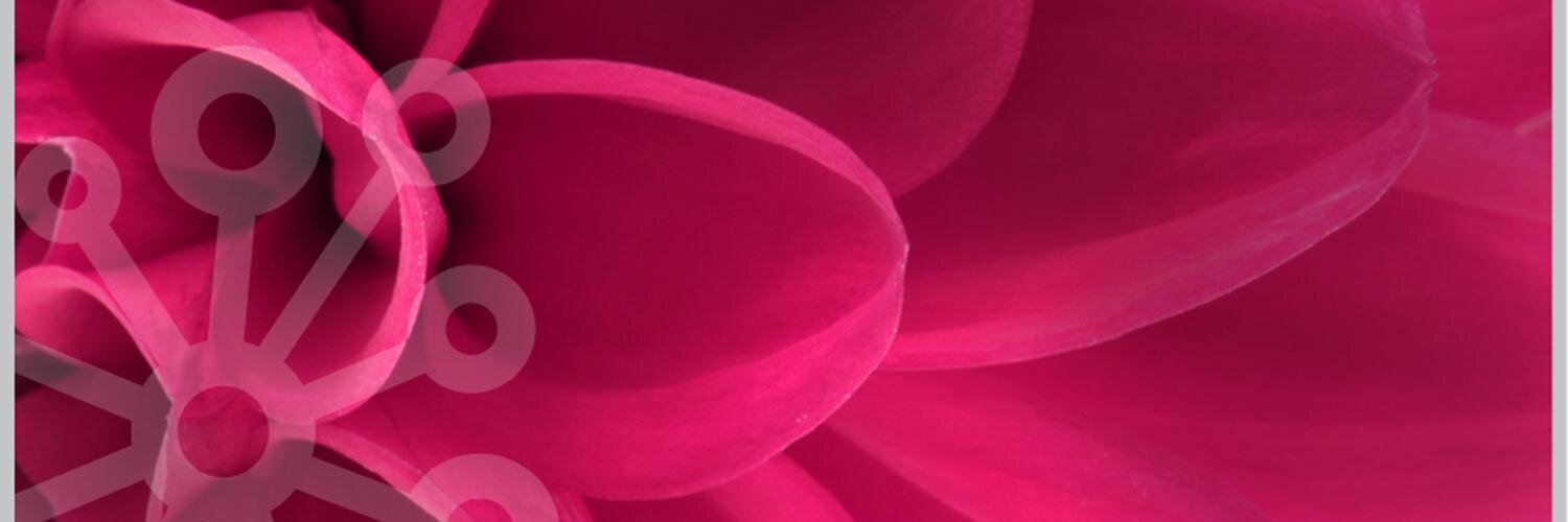 Floricode.com banner