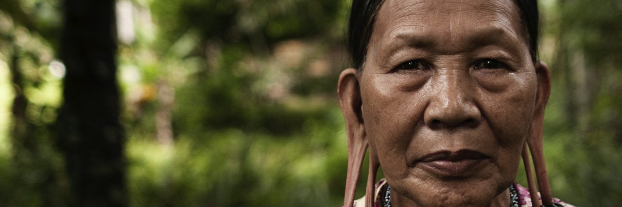 Bruno Manser Fonds banner