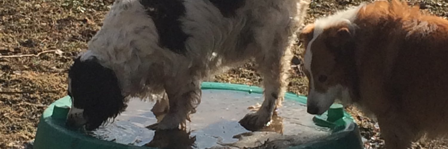 mpeeples62's profile banner image