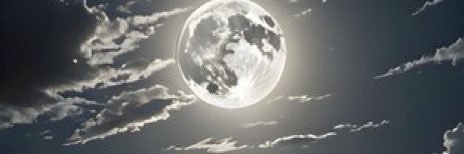 MsEvettee's profile banner image