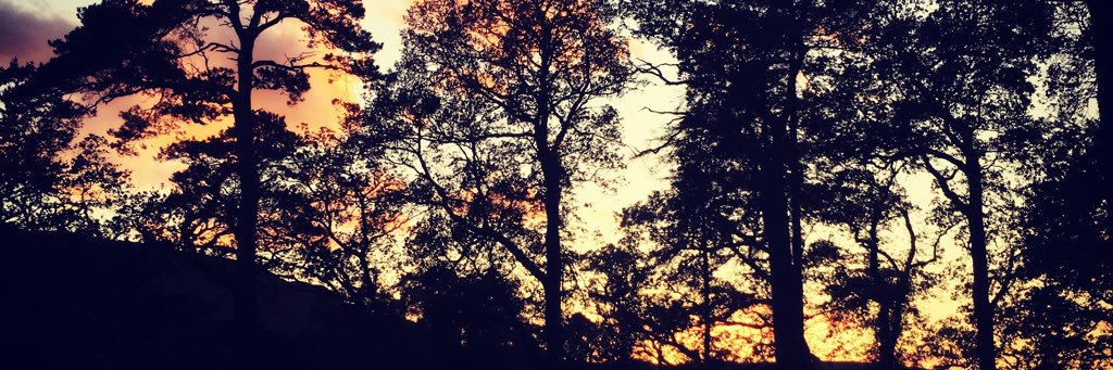 TheGrahamBrodie's profile banner image