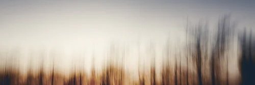 amirahammad55's profile banner image