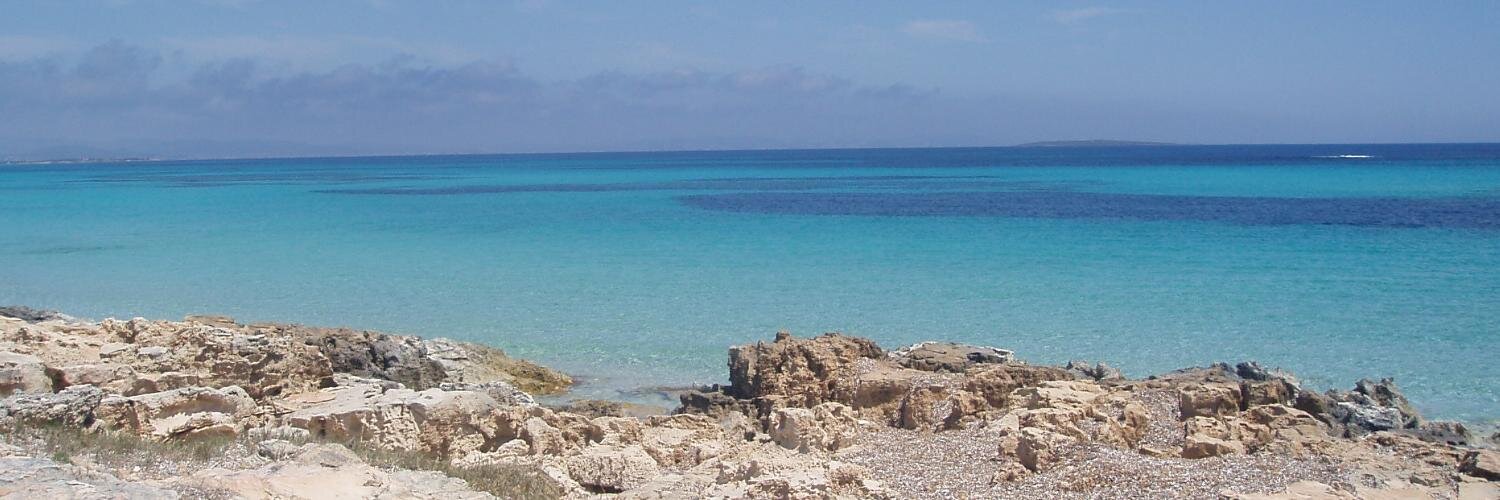 Pablo Rodríguez  banner