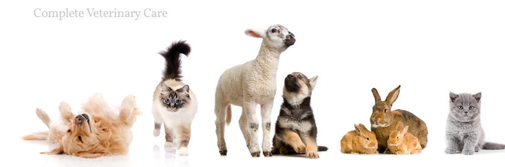 CompleteVetCare's profile banner image