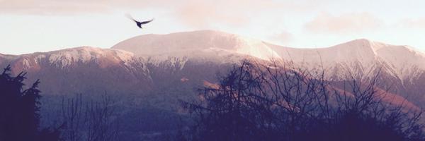 Cottage_in_Wood Profile Banner