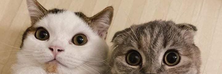 นนท์ไหนอ่ะไม่รู้จัก banner