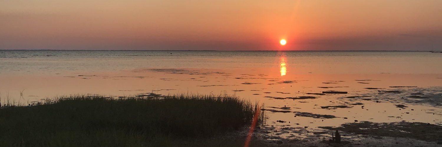 erinbarrs's profile banner image