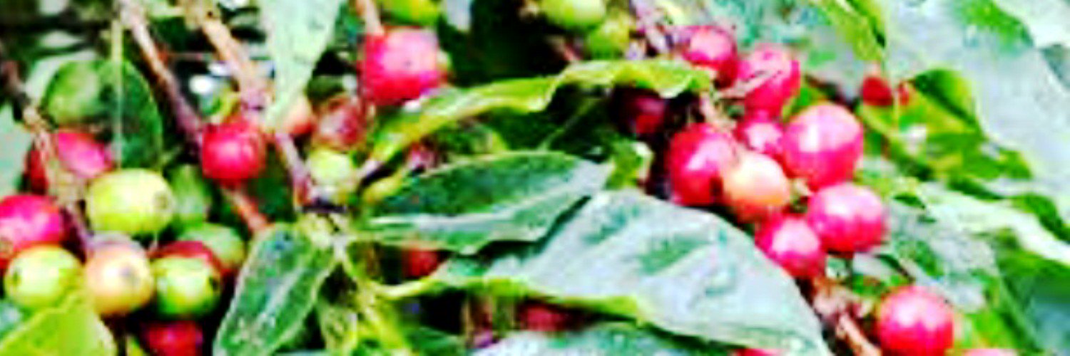 HicksCafe1's profile banner image