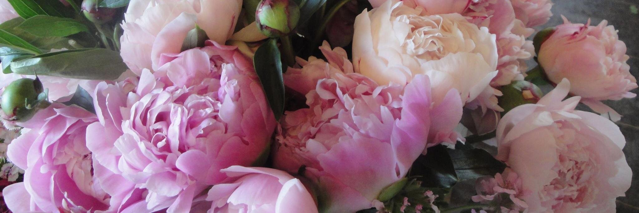 barbsbouquets's profile banner image