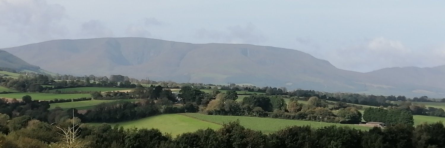 Morag O Connor banner