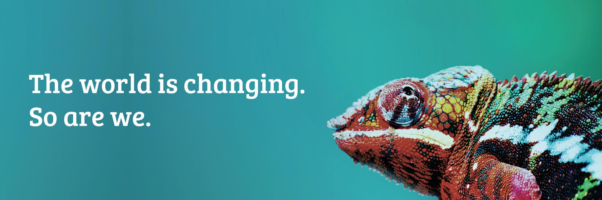 datastreams_io's profile banner image