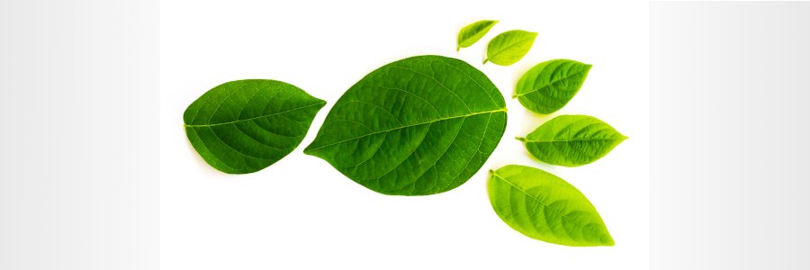 GEP Environmental banner