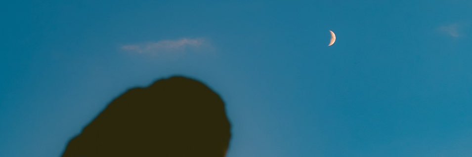 TV 📈 banner