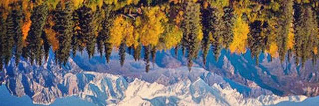 ferphh's profile banner image