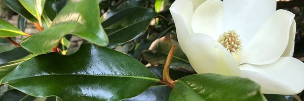 dhellingkc Profile Banner