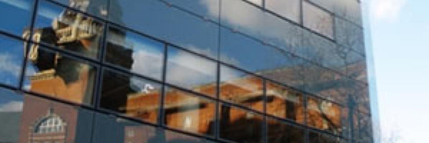 Professor Lis Howell banner