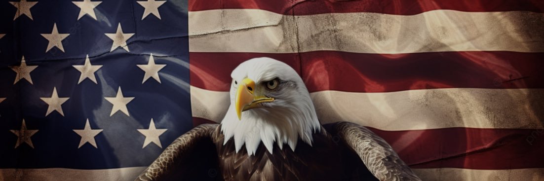 ThatboiDOT's profile banner image