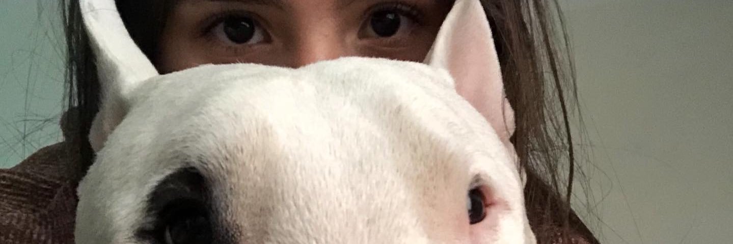 ZaharMarce's profile banner image
