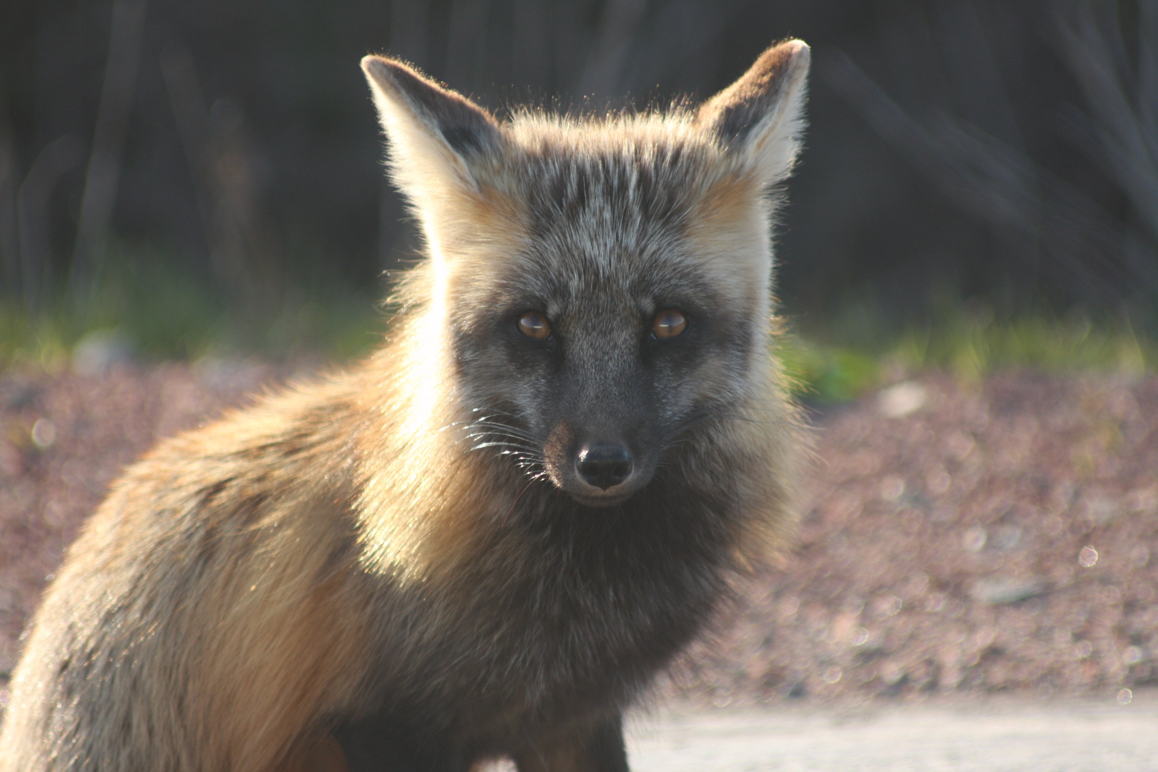 daveinreddeer's profile banner image