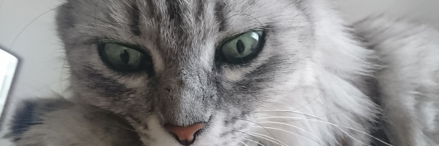 ErdemBuz's profile banner image