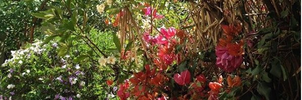 katetiss's profile banner image