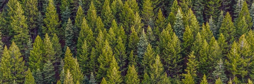Wouter_Lemm's profile banner image