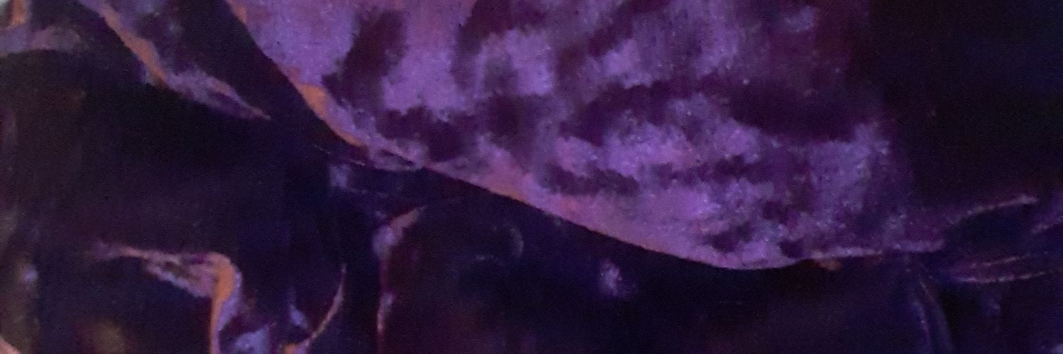 raynedrops's profile banner image