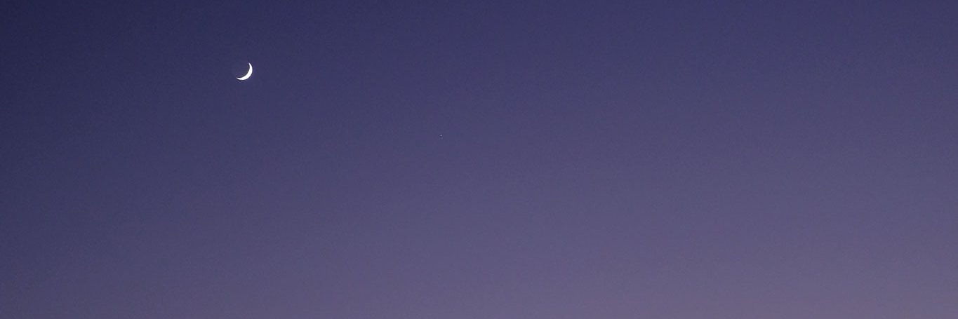 suke_zoo's profile banner image