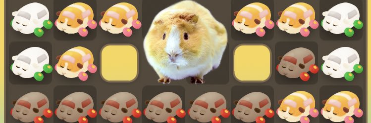dadamarusuke's profile banner image