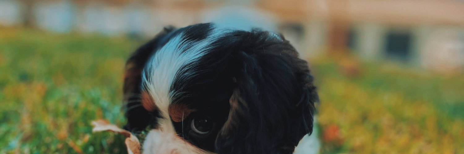 eyenezz_'s profile banner image