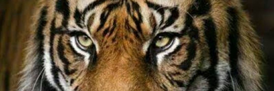 benjamin_638's profile banner image