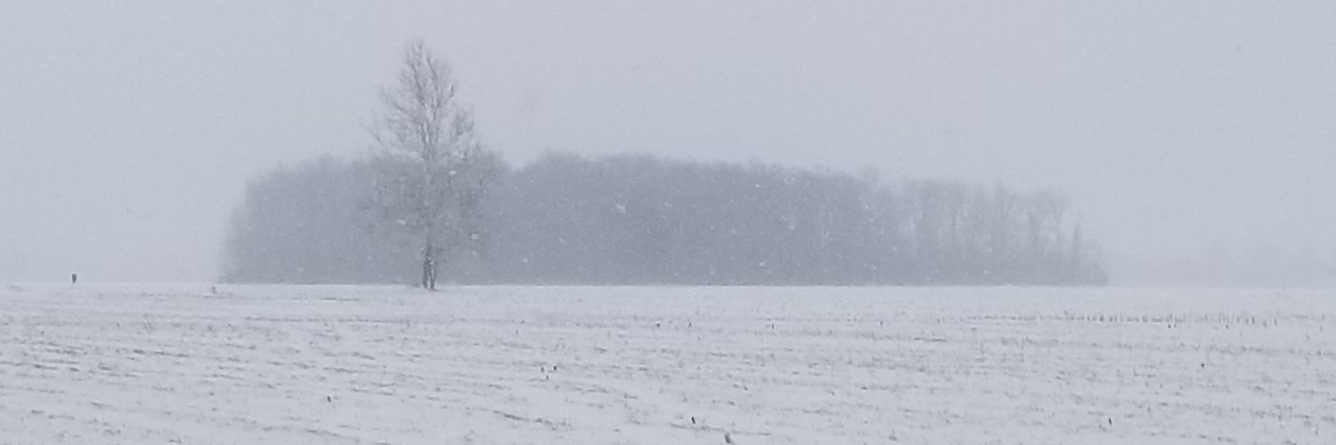 DeisenrothJune's profile banner image