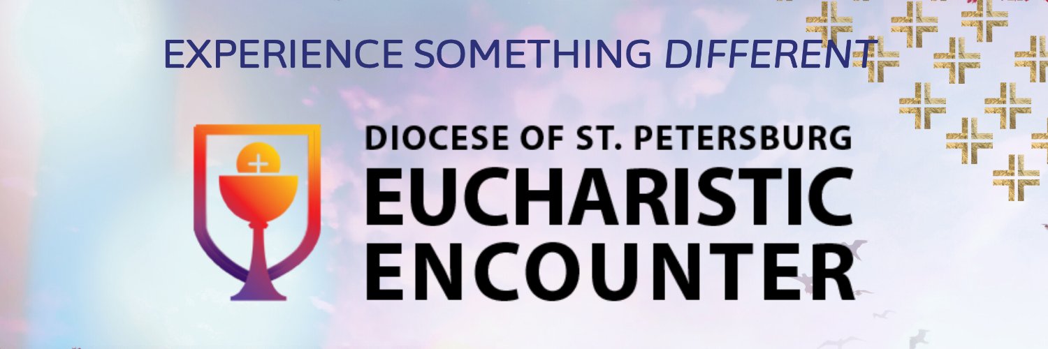 DioStPete's profile banner image